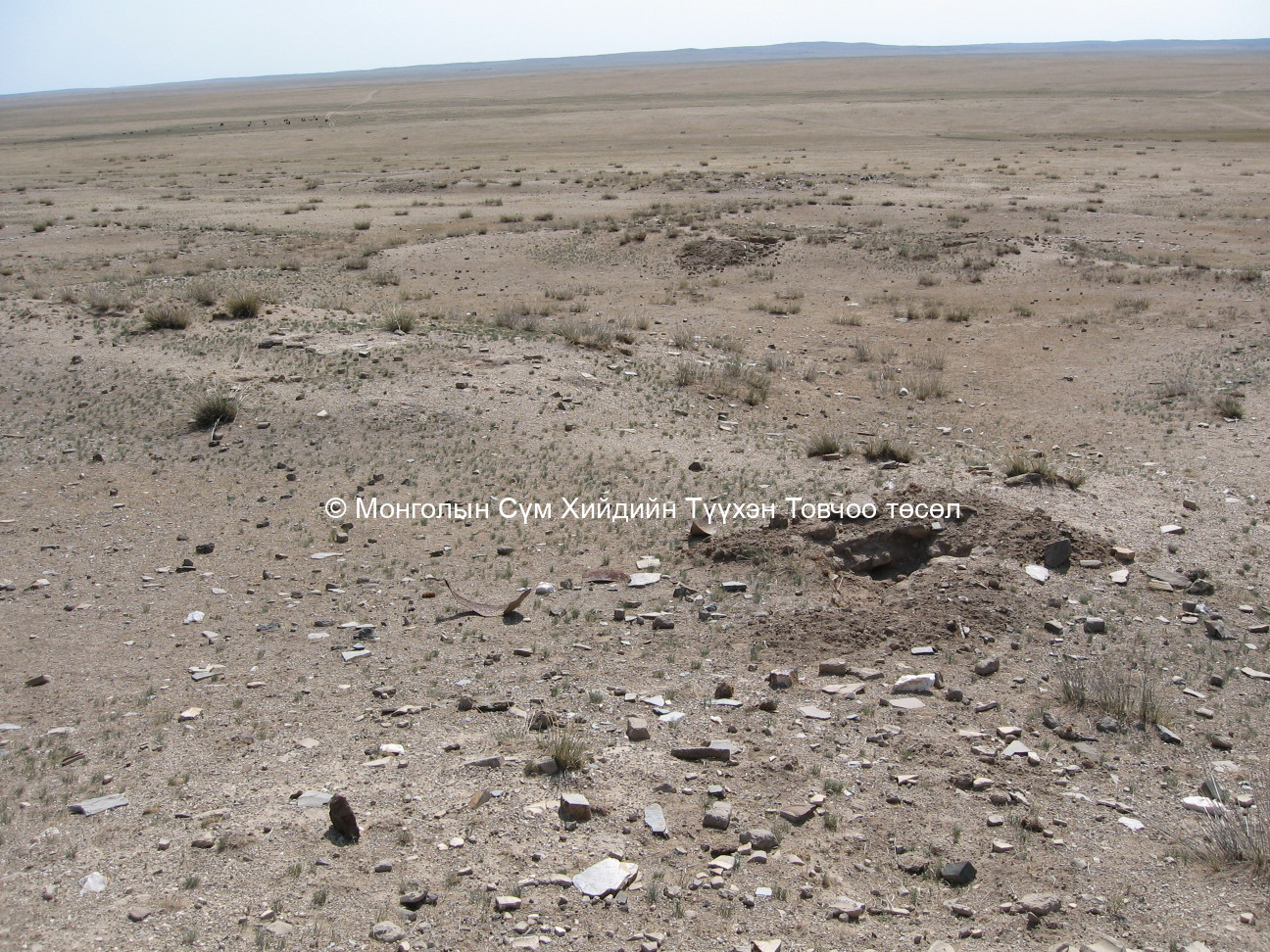 Пунгийн хийдийн туурь/8/